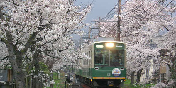 京都の中心地を結ぶ京都で利用頻度の高い路線